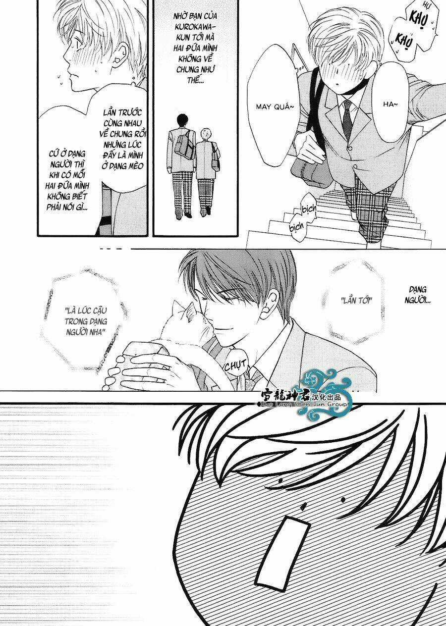 Neko Neko Honey - Chapter 7 - Trang 15