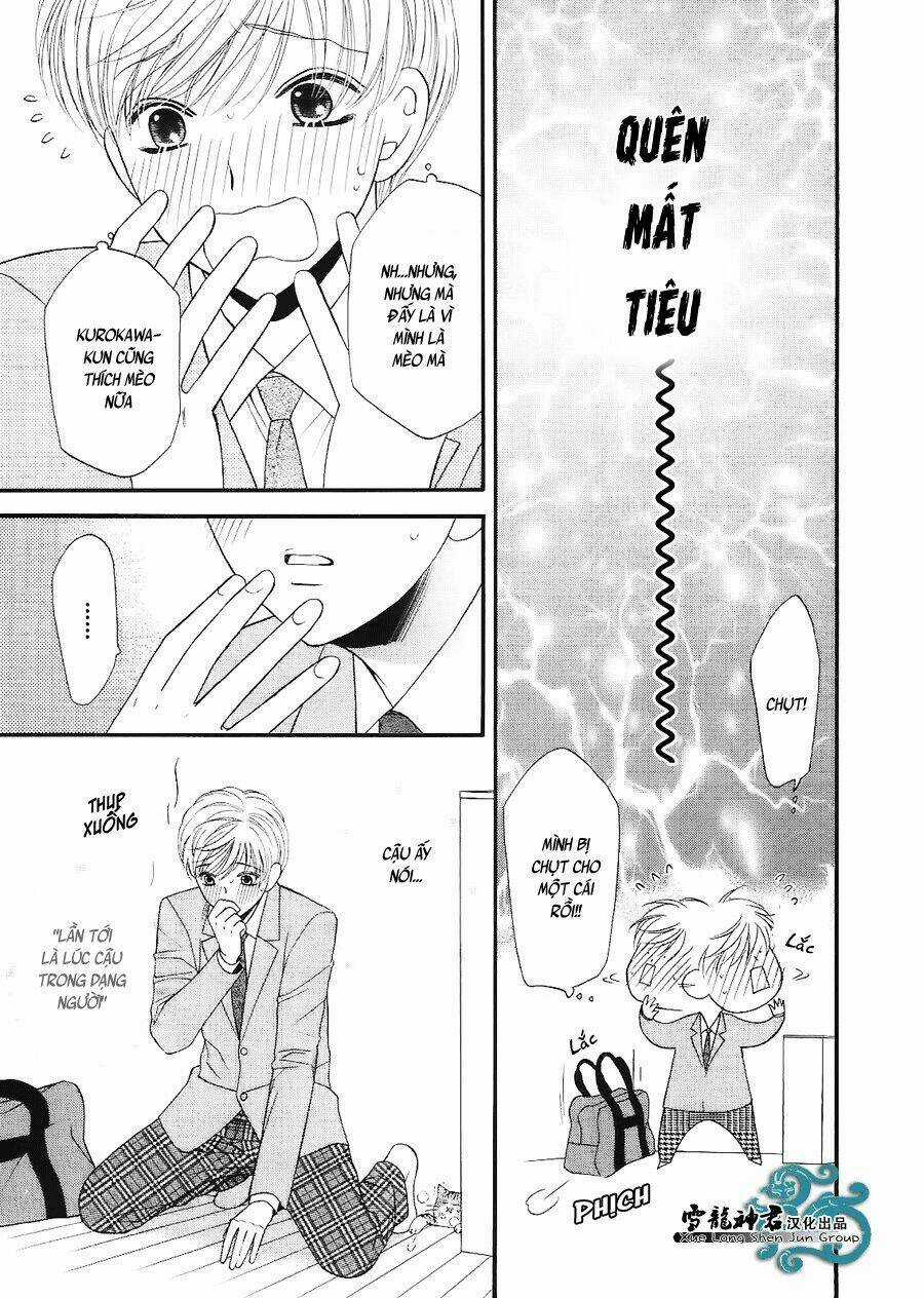 Neko Neko Honey - Chapter 7 - Trang 16