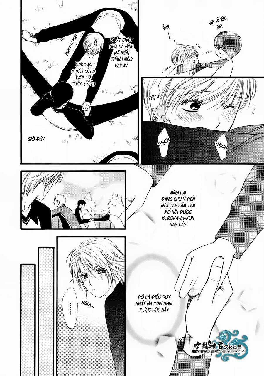 Neko Neko Honey - Chapter 8 - Trang 11