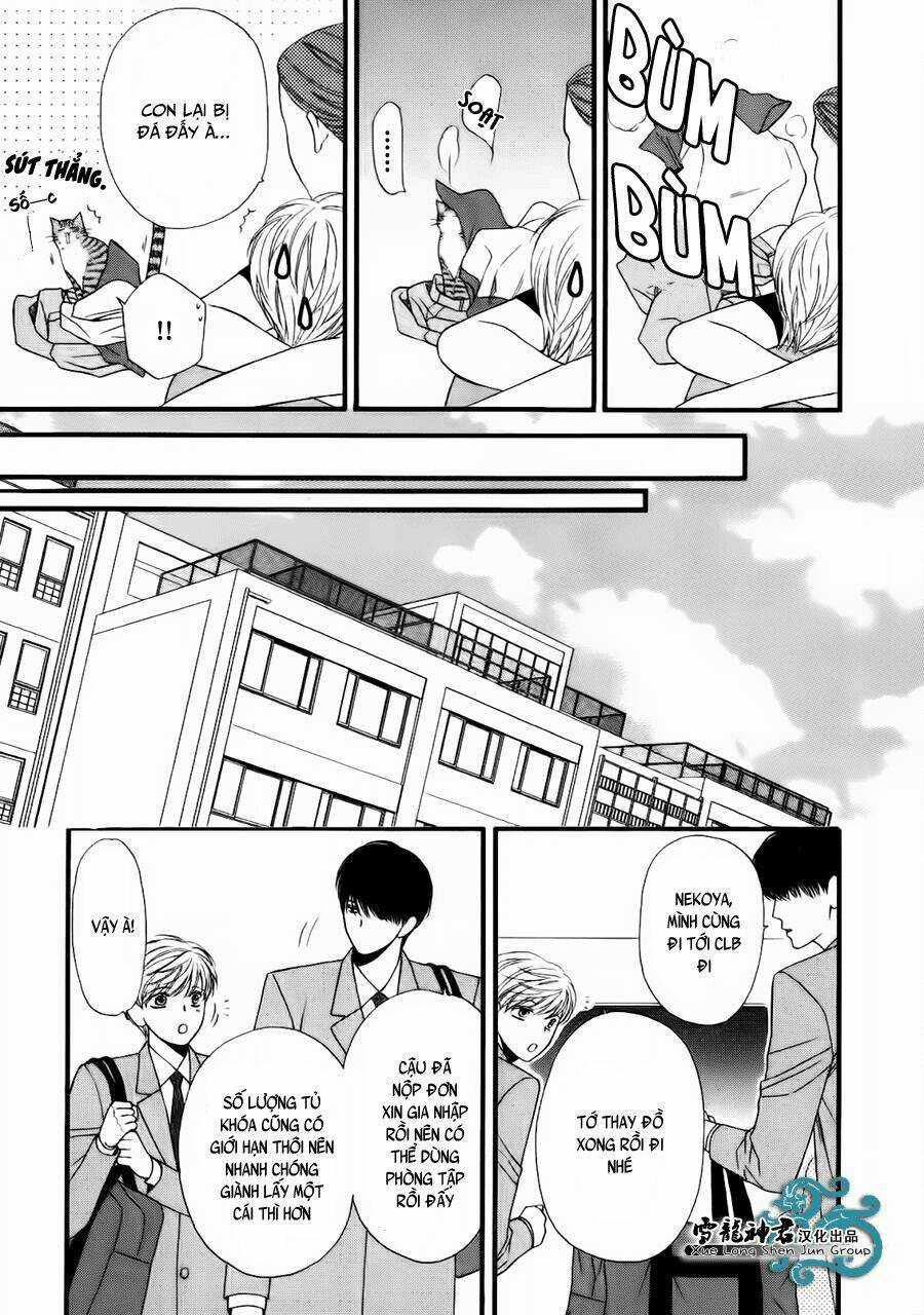 Neko Neko Honey - Chapter 8 - Trang 18