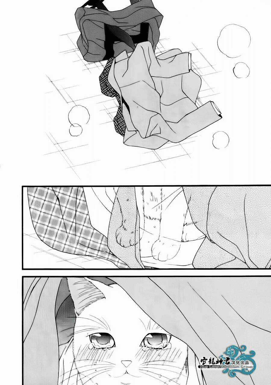 Neko Neko Honey - Chapter 8 - Trang 27