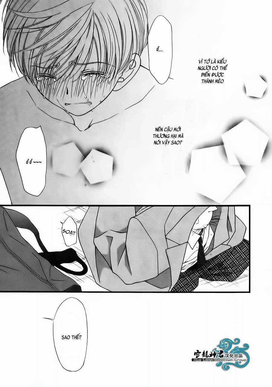 Neko Neko Honey - Chapter 8 - Trang 30