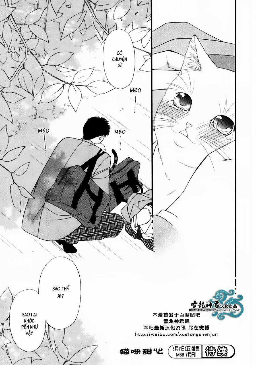 Neko Neko Honey - Chapter 8 - Trang 32