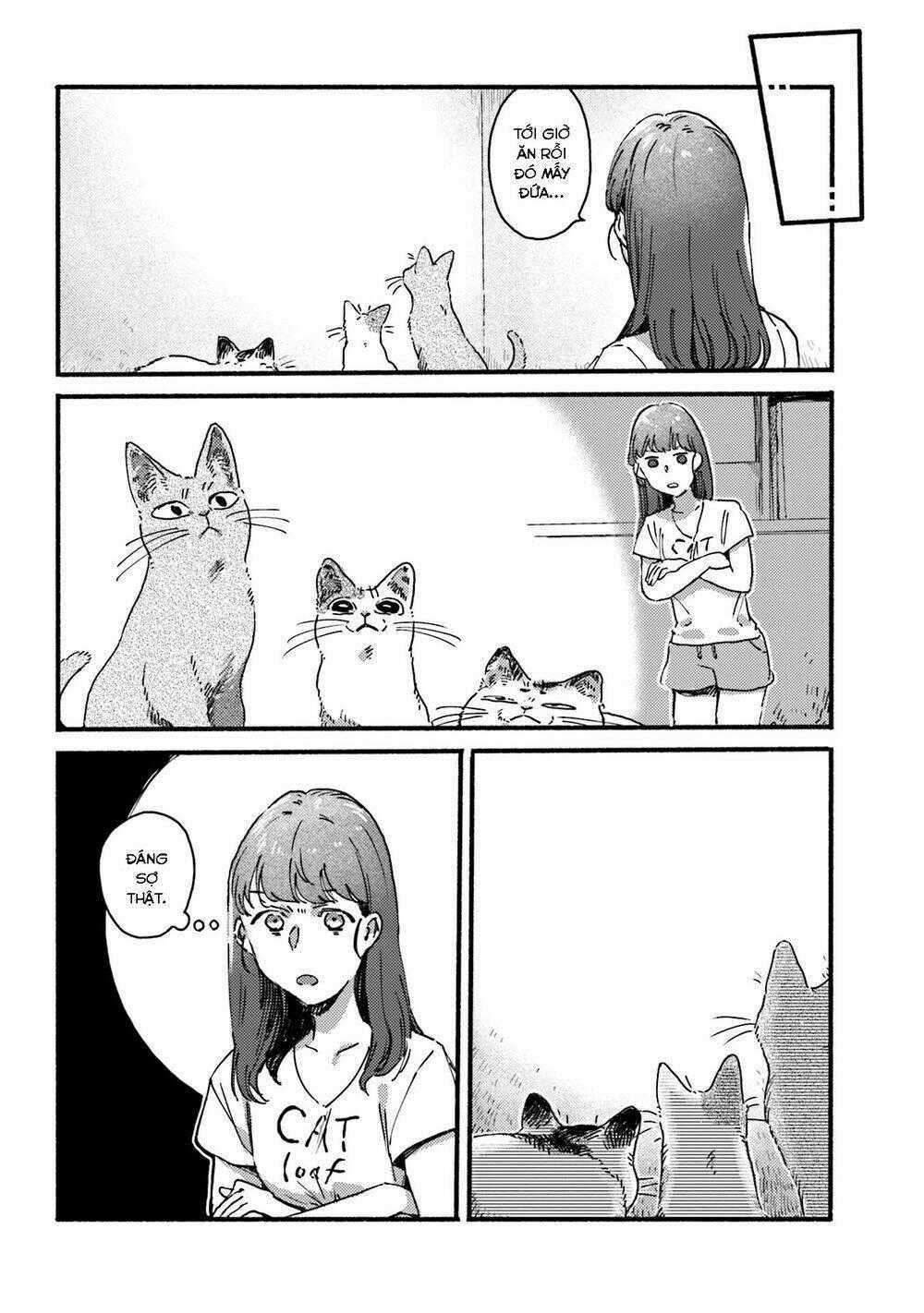 Nekodamari - Chapter 11 - Trang 8