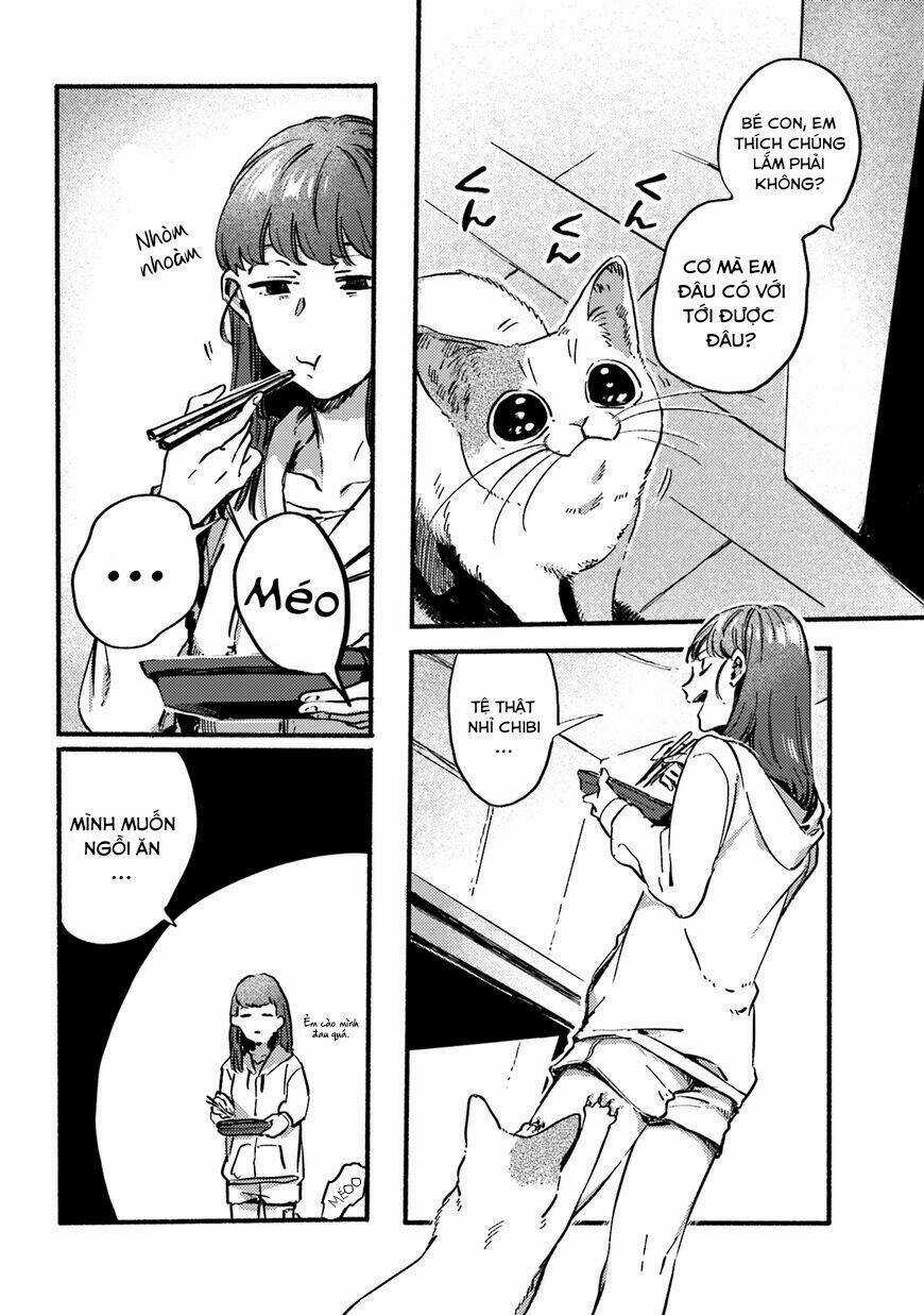 Nekodamari - Chapter 13 - Trang 6