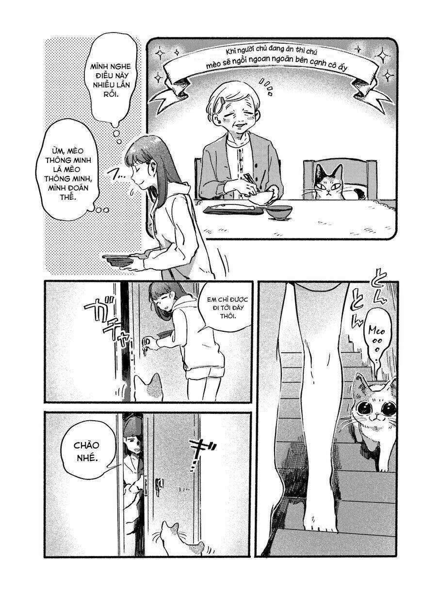 Nekodamari - Chapter 13 - Trang 7