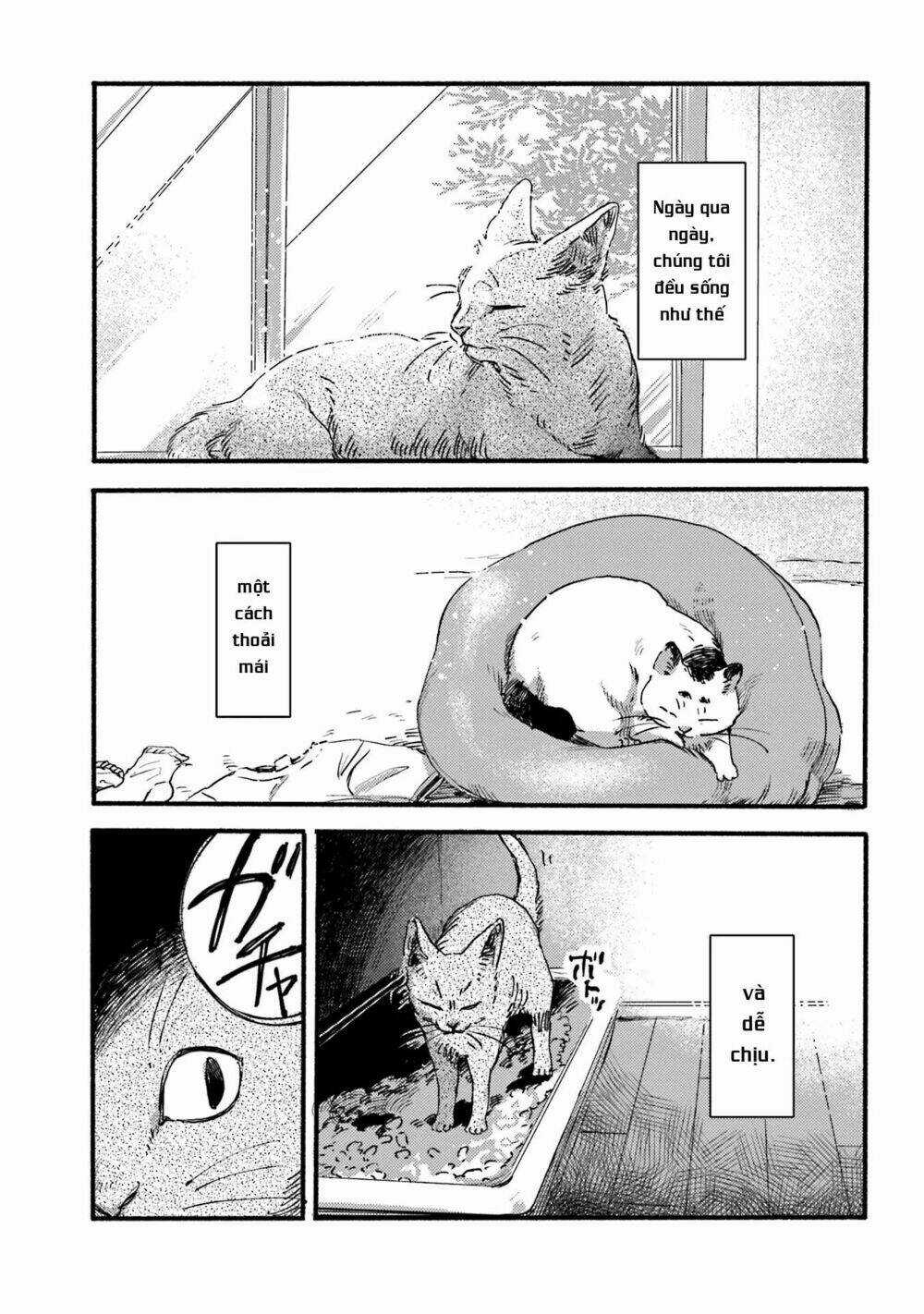 Nekodamari - Chapter 2 - Trang 6