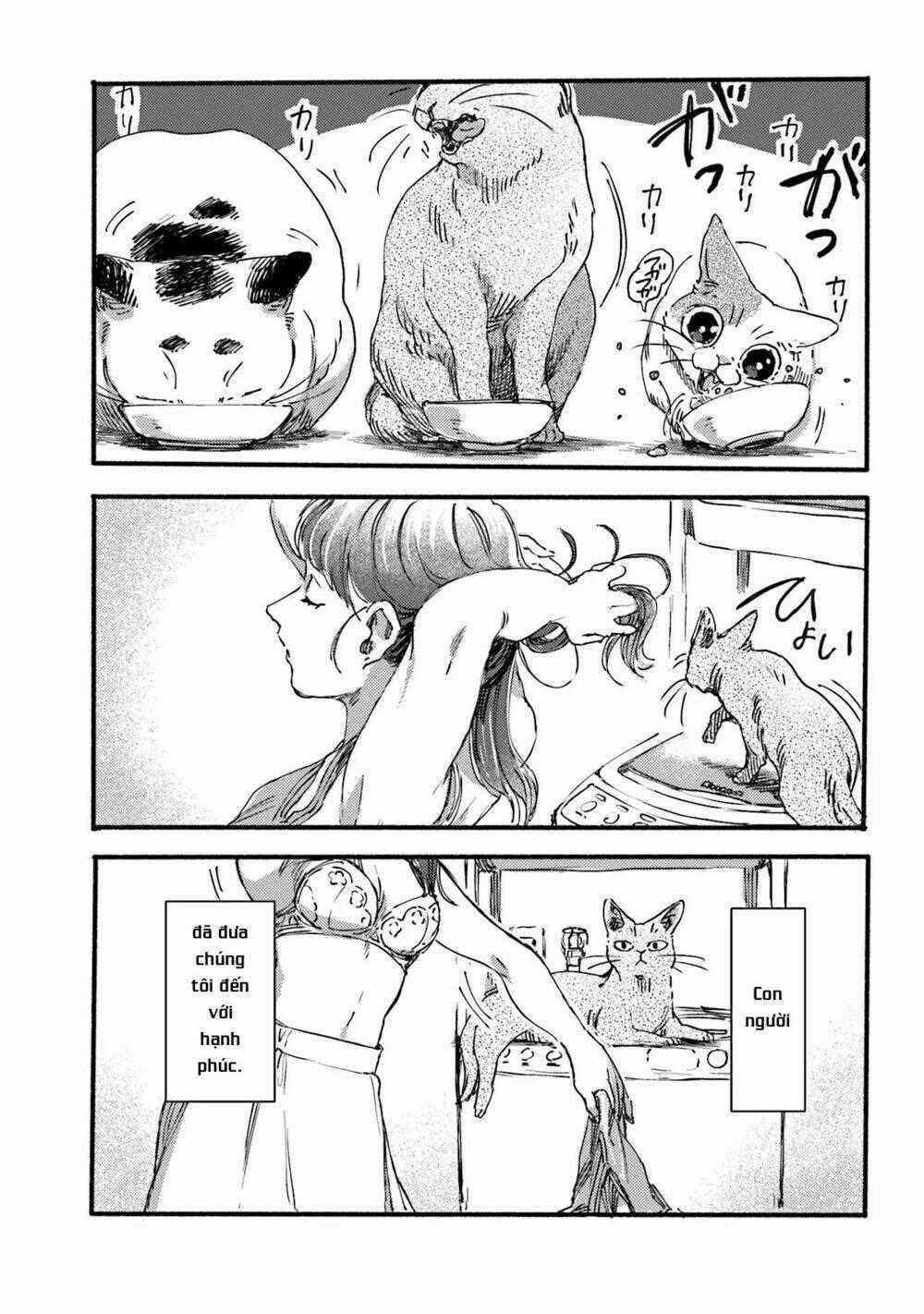 Nekodamari - Chapter 2 - Trang 8