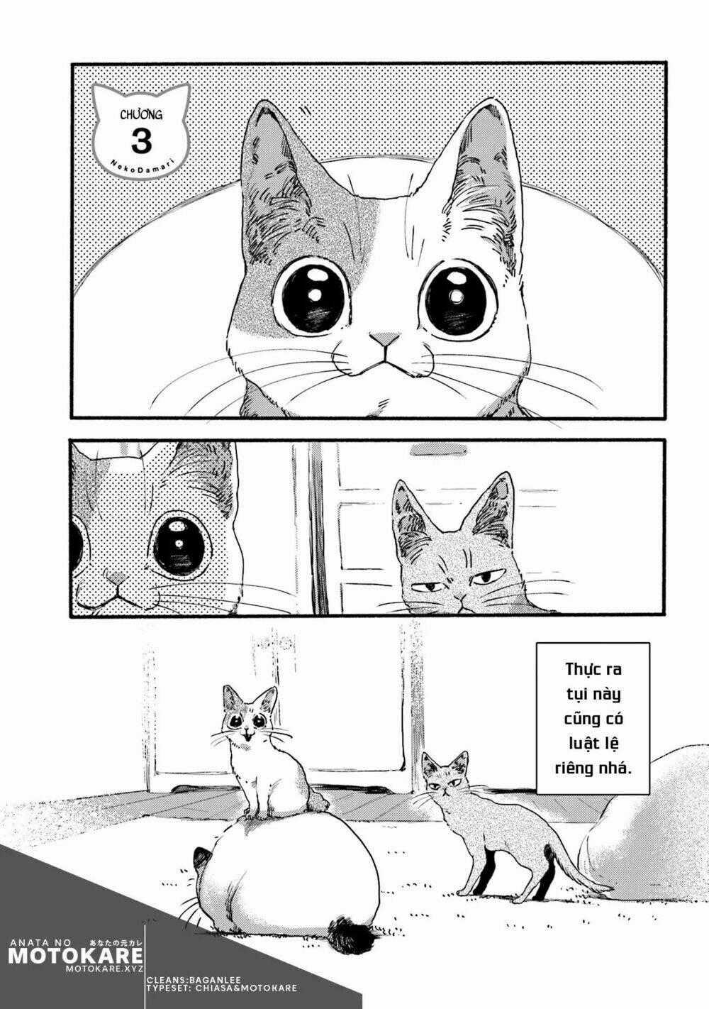 Nekodamari - Chapter 3 - Trang 1
