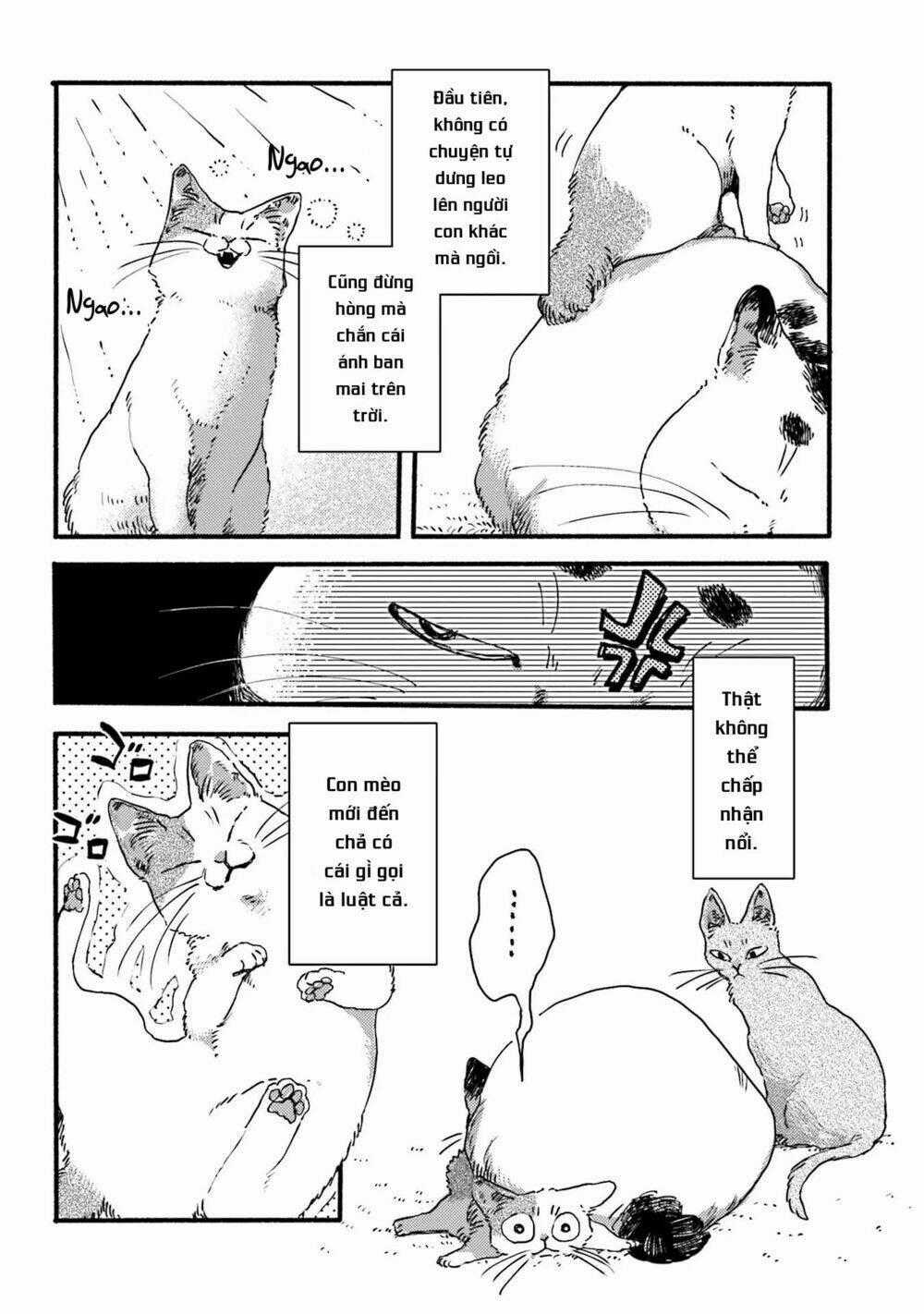 Nekodamari - Chapter 3 - Trang 2