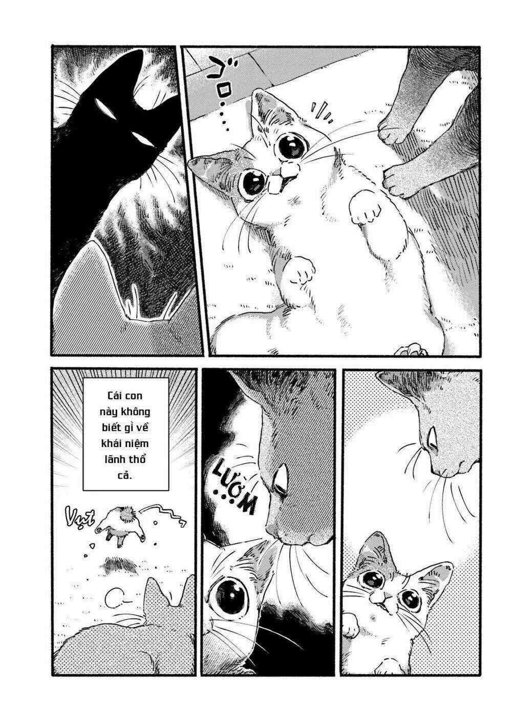 Nekodamari - Chapter 3 - Trang 3