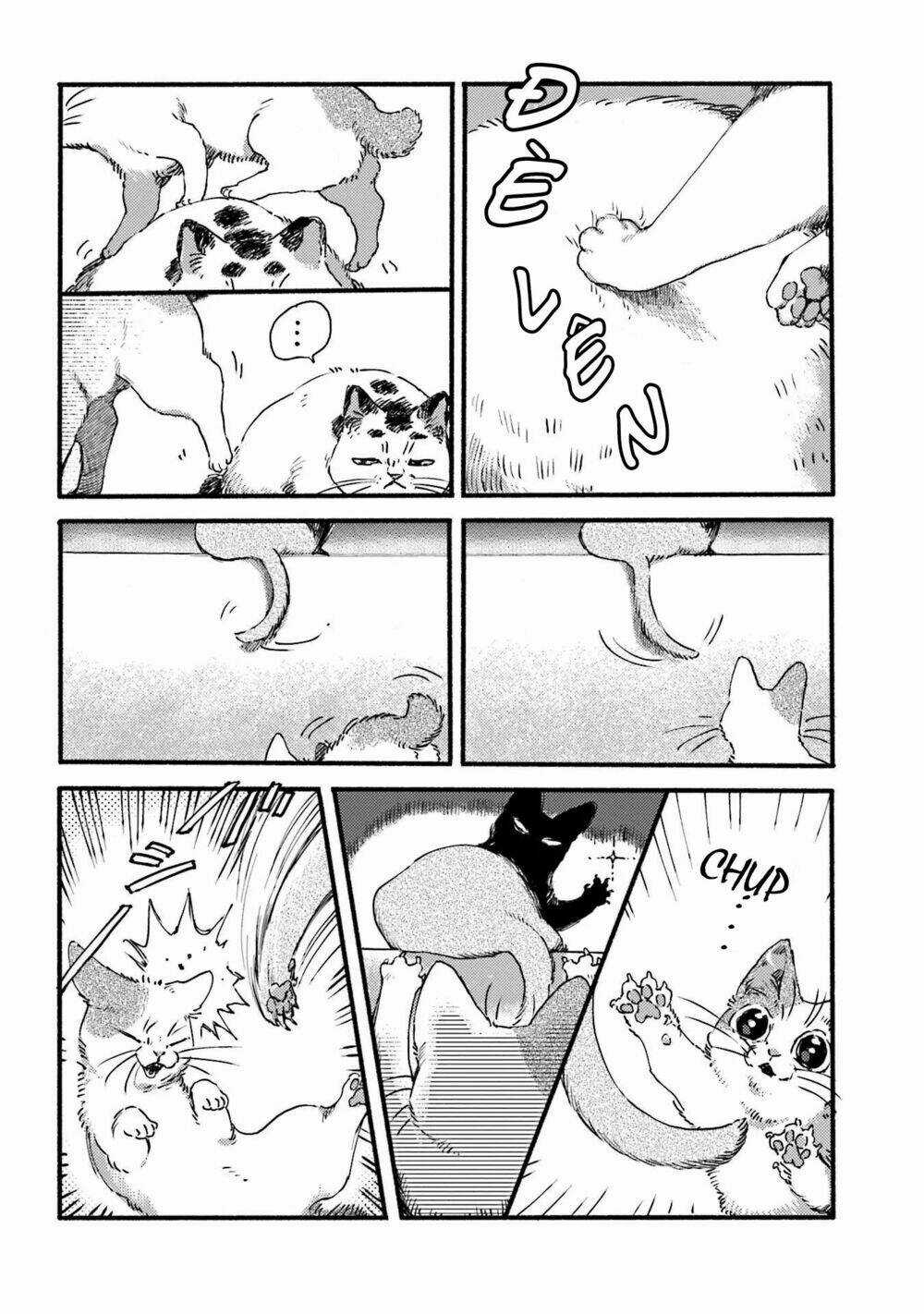 Nekodamari - Chapter 3 - Trang 4