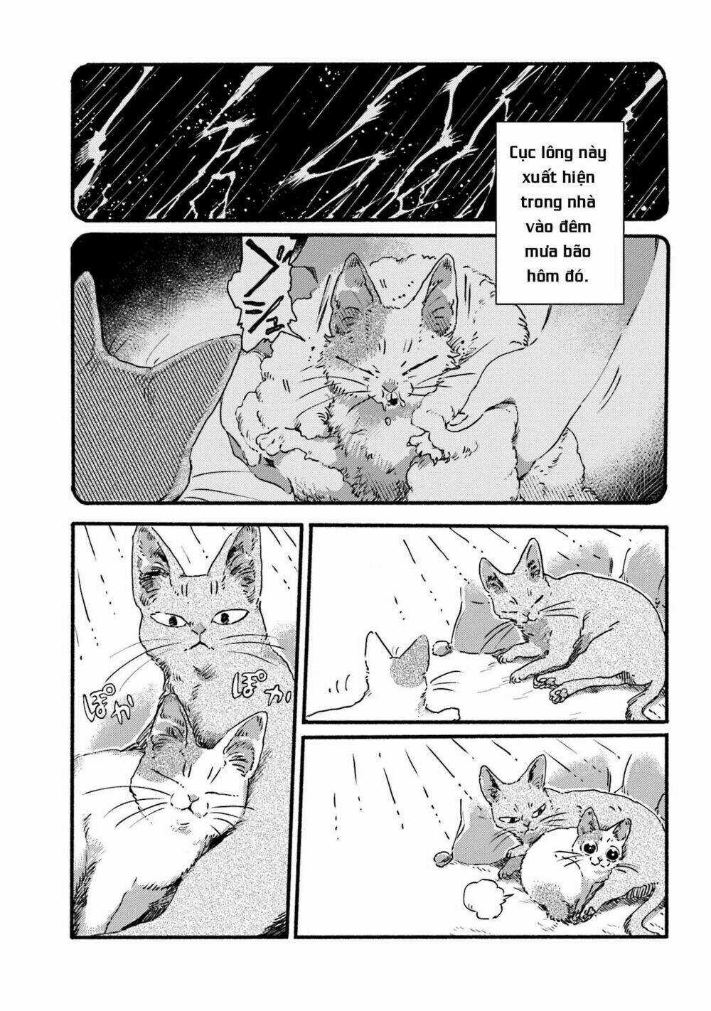 Nekodamari - Chapter 3 - Trang 5