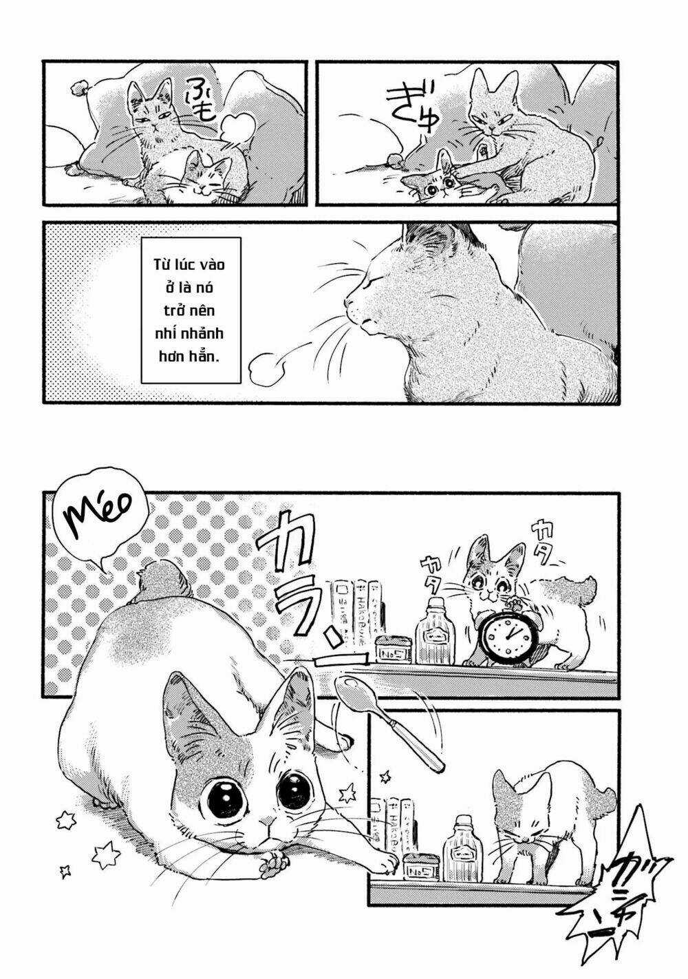 Nekodamari - Chapter 3 - Trang 6