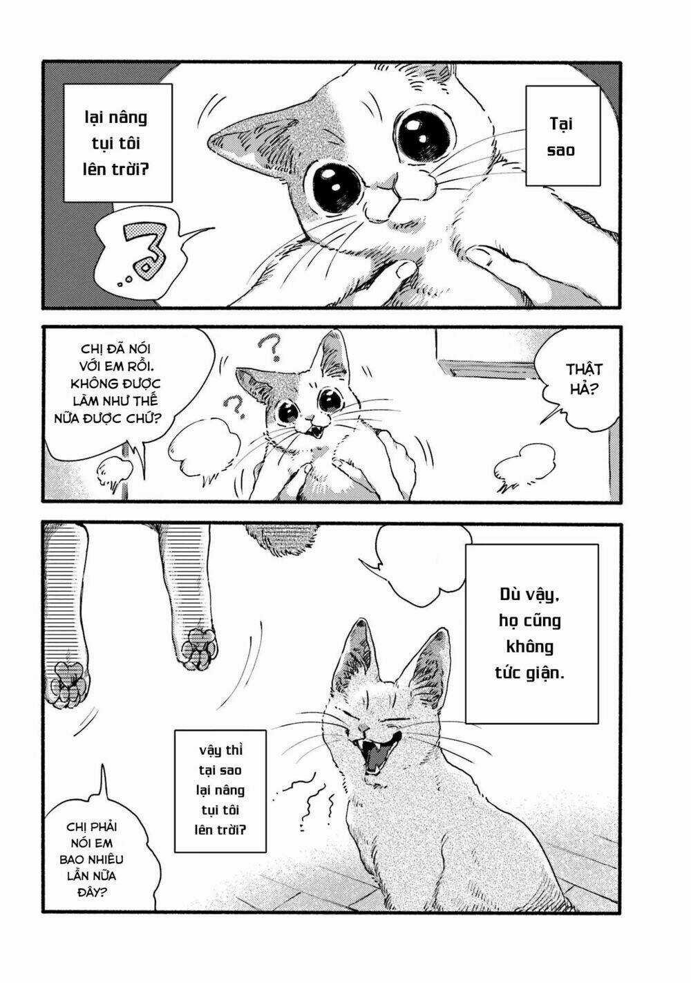 Nekodamari - Chapter 3 - Trang 8
