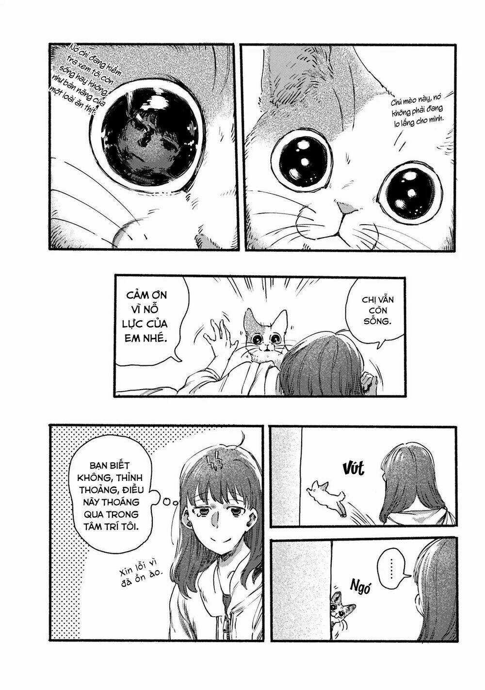 Nekodamari - Chapter 4 - Trang 3