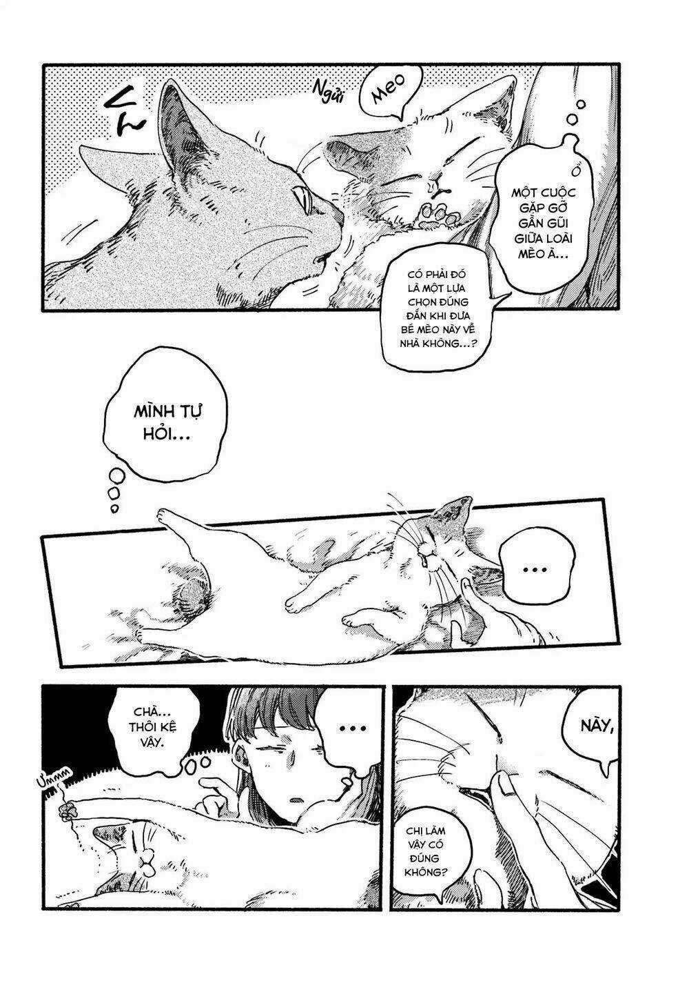 Nekodamari - Chapter 8 - Trang 7