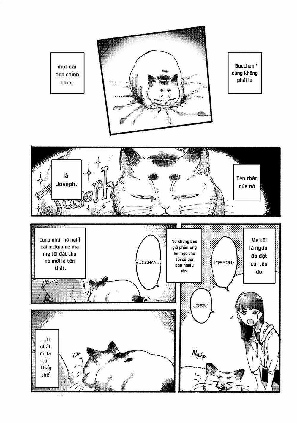 Nekodamari - Chapter 9 - Trang 5