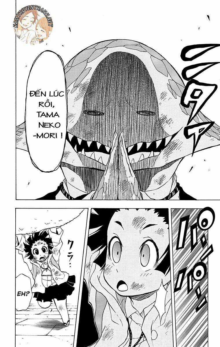 Nekowappa! - Chapter 12 - Trang 9