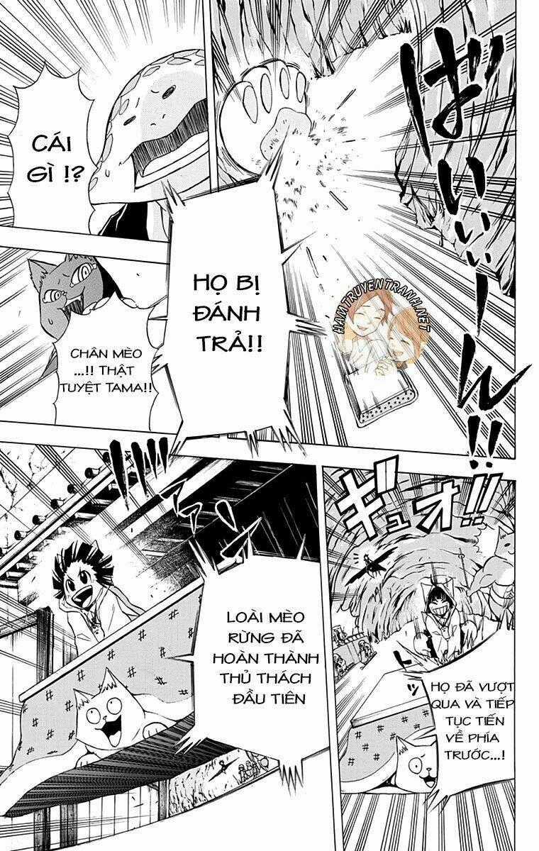 Nekowappa! - Chapter 9 - Trang 19