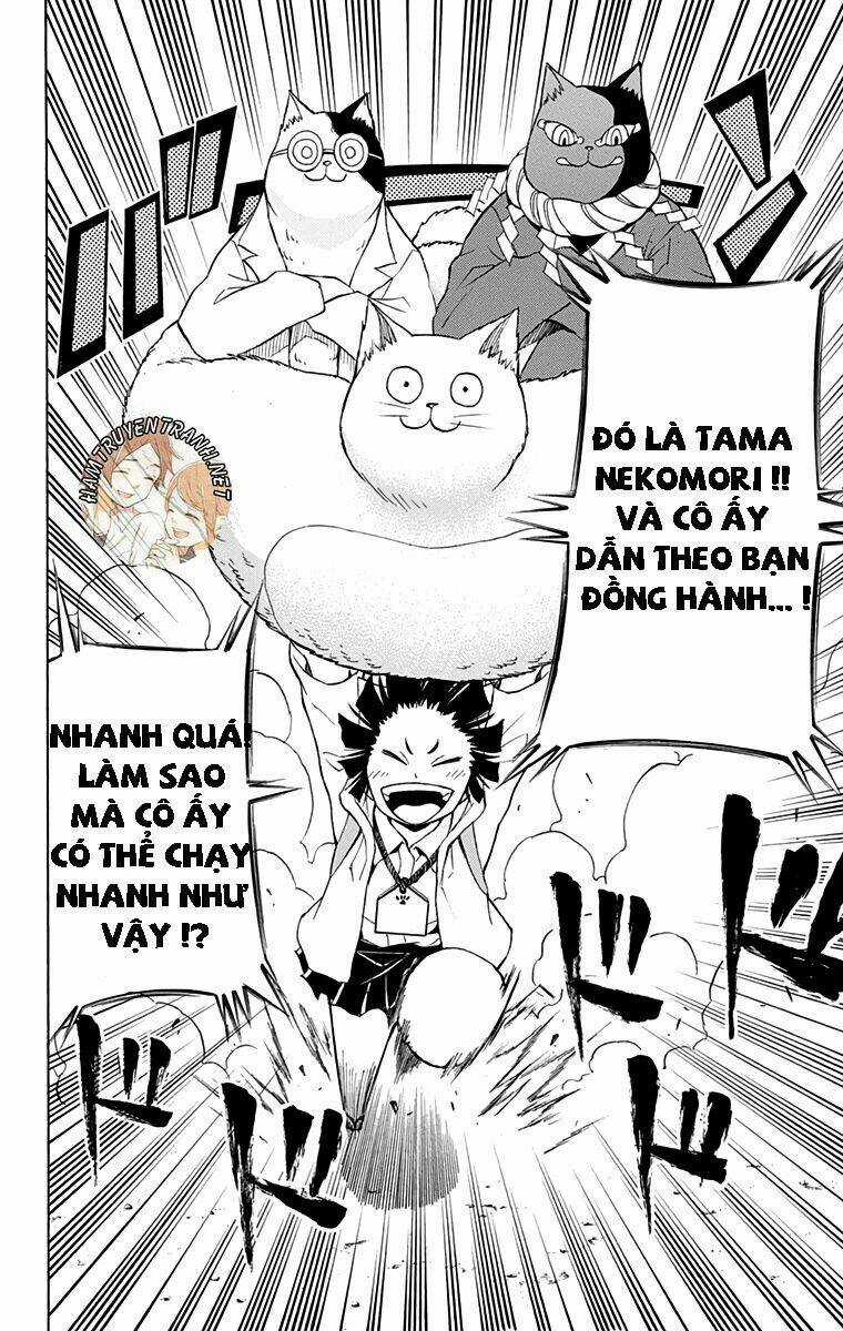 Nekowappa! - Chapter 9 - Trang 8