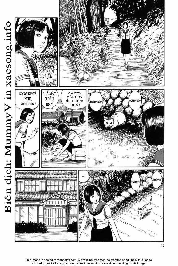 New Voices In The Dark - Chapter 2 - Trang 3