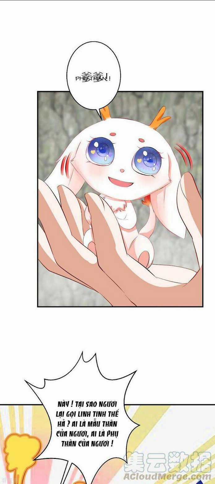 Nghịch Thiên Độc Phi - Chapter 77 - Trang 7