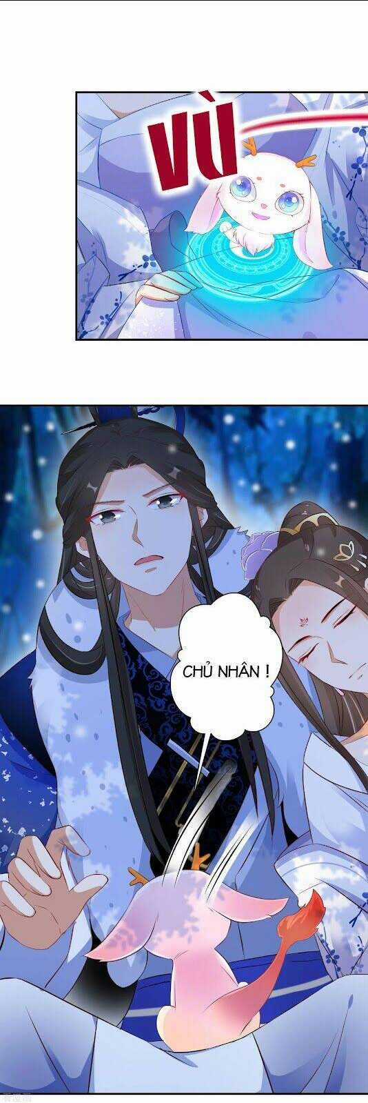 Nghịch Thiên Độc Phi - Chapter 85 - Trang 5