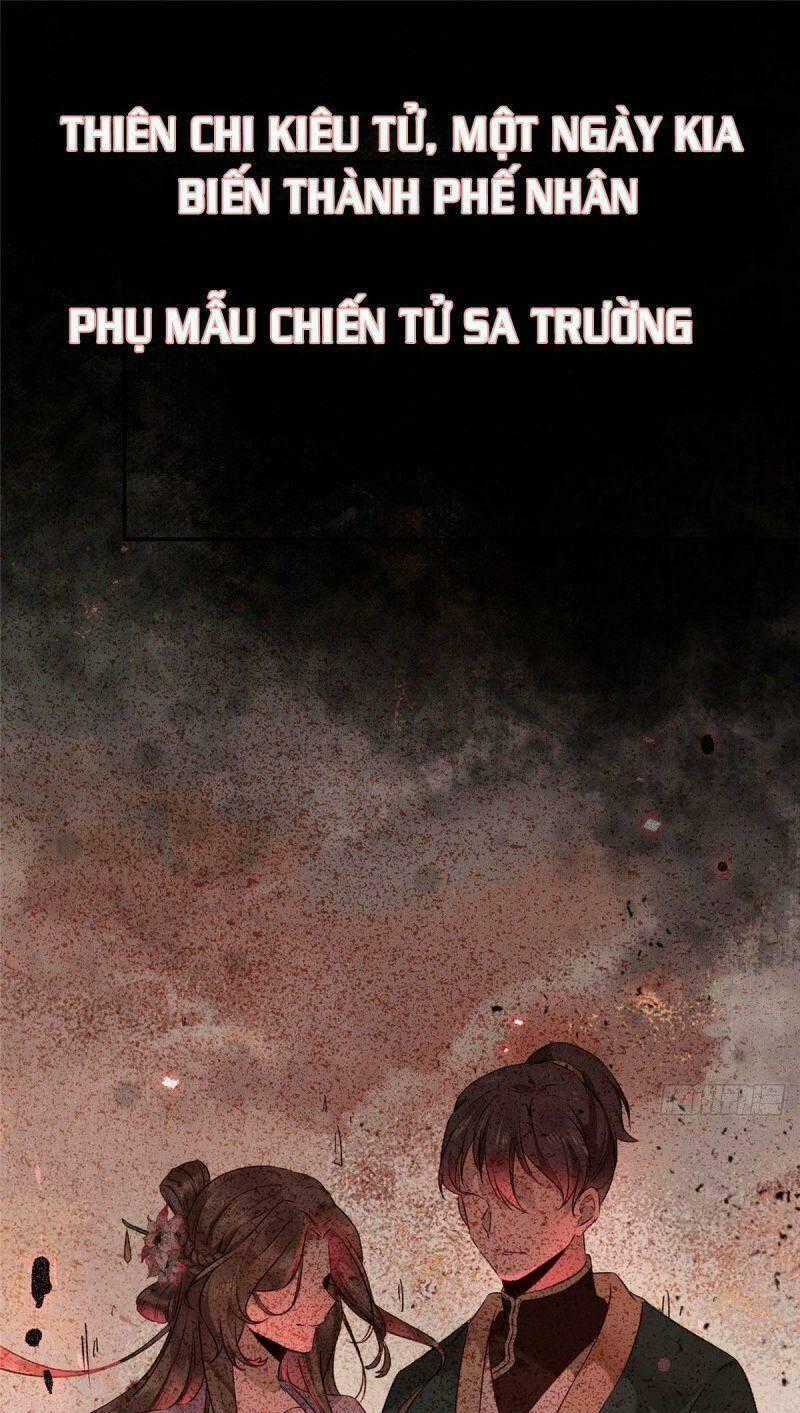 Nghịch Thiên Thần Phi Chí Thượng - Chapter 1 - Trang 1