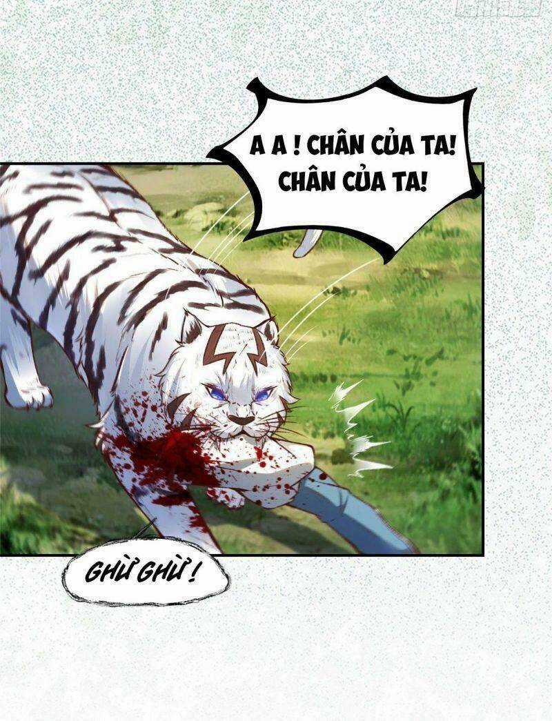 Nghịch Thiên Thần Phi Chí Thượng - Chapter 4 - Trang 5