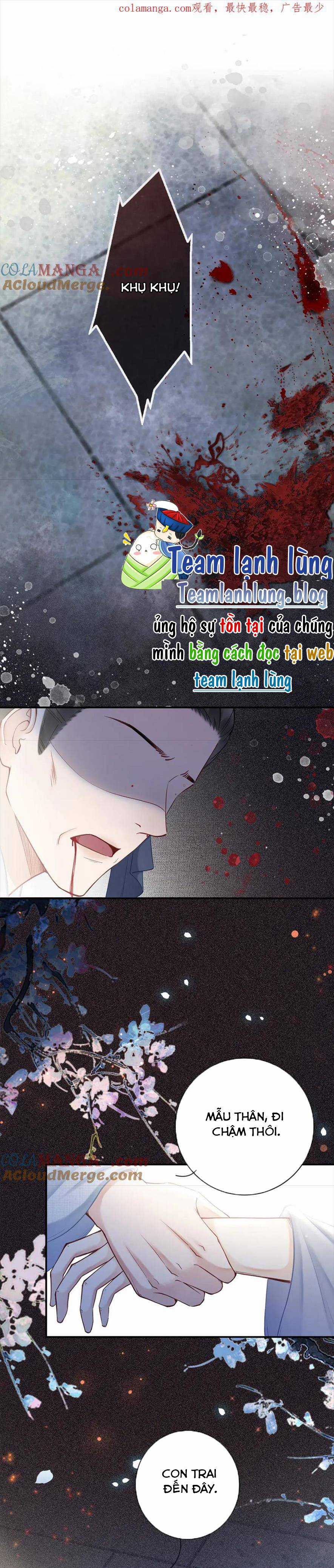 NGỖ TÁC CẨM Y - Chapter 41 - Trang 1