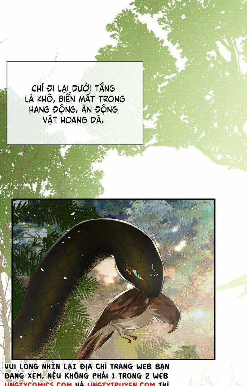 Ngộ Xà - Chapter 86 - Trang 20