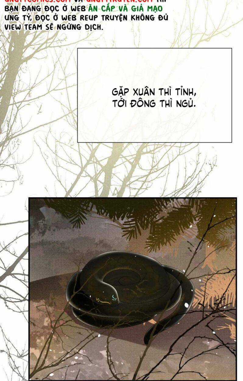 Ngộ Xà - Chapter 86 - Trang 21