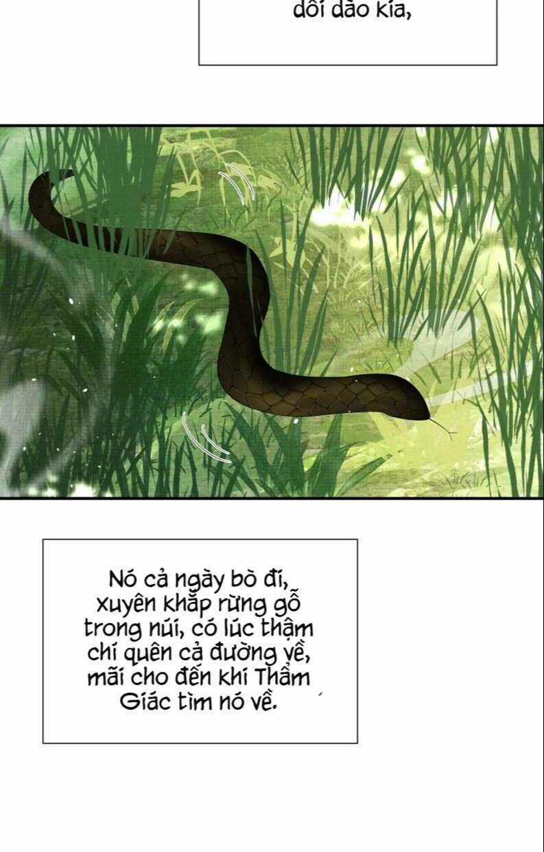 Ngộ Xà - Chapter 92 - Trang 22