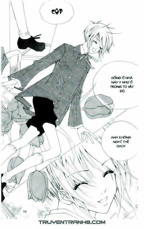 Ngọc Trong Đá-Ace - Chapter 1 - Trang 17