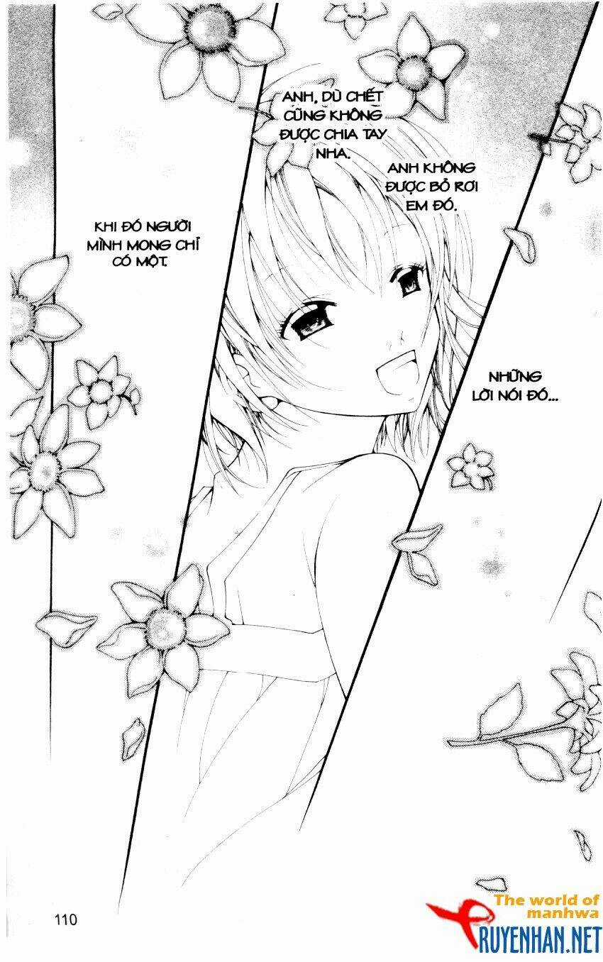 Ngọc Trong Đá-Ace - Chapter 15 - Trang 12