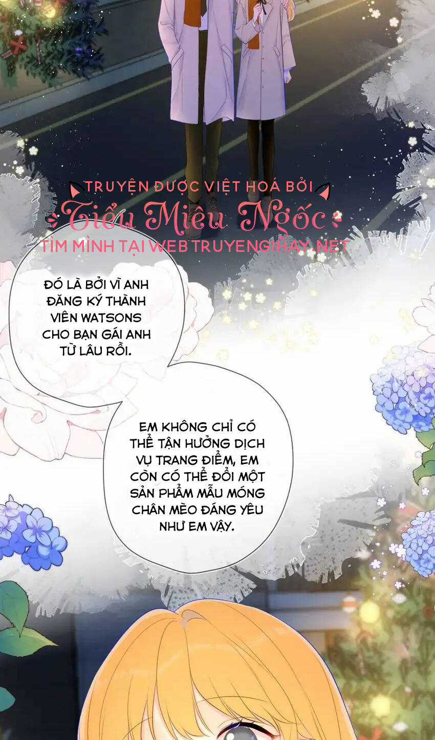 Ngôi Sao Cho Tôi - Chapter 113 - Trang 33