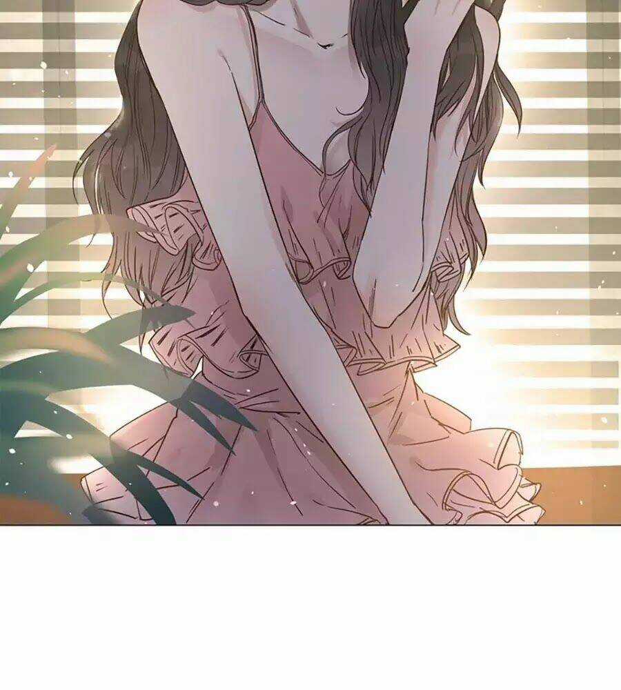 Ngôi Sao Vụn Vỡ - Chapter 30 - Trang 42