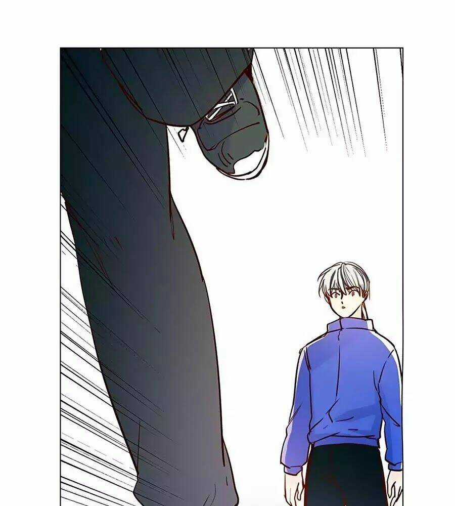 Ngôi Sao Vụn Vỡ - Chapter 48 - Trang 29