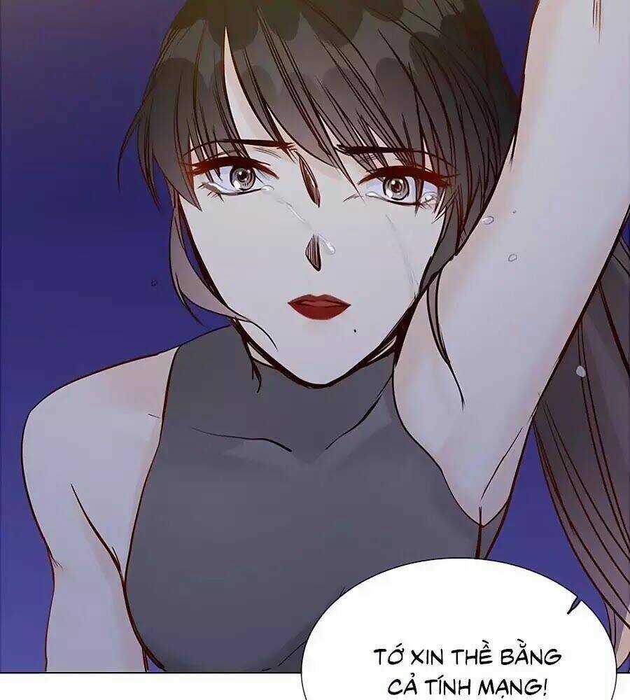 Ngôi Sao Vụn Vỡ - Chapter 48 - Trang 40