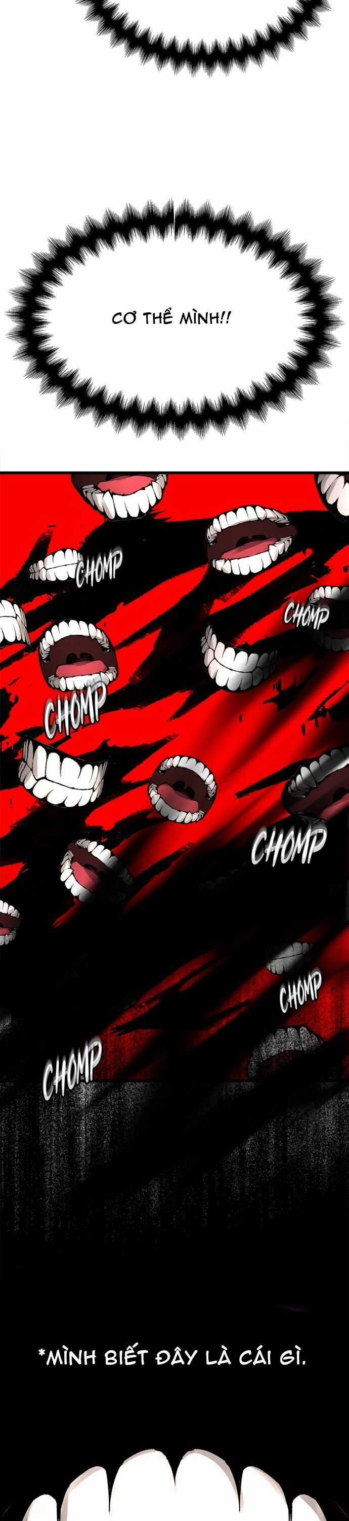 Ngọn Lửa Của Hòa Bình - Chương 18 - Trang 30