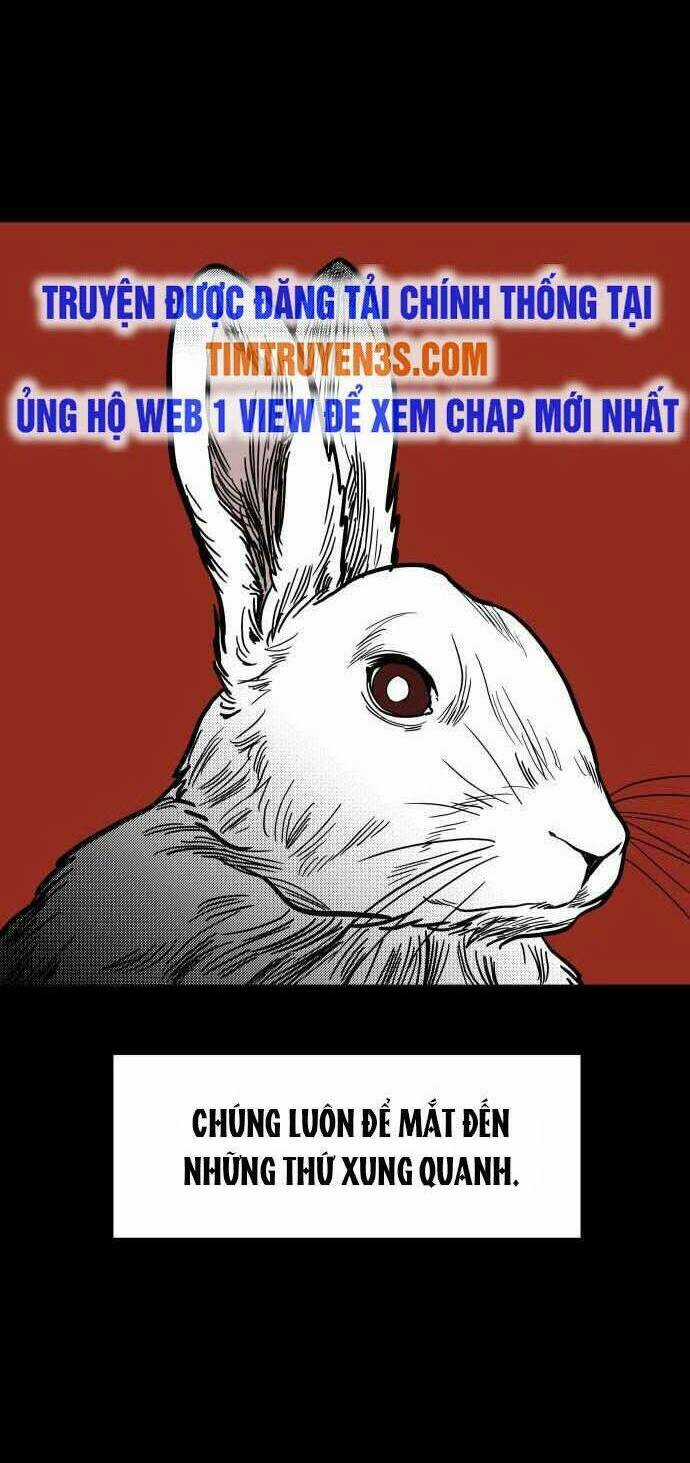 Ngọn Lửa Xanh - Chapter 48 - Trang 8