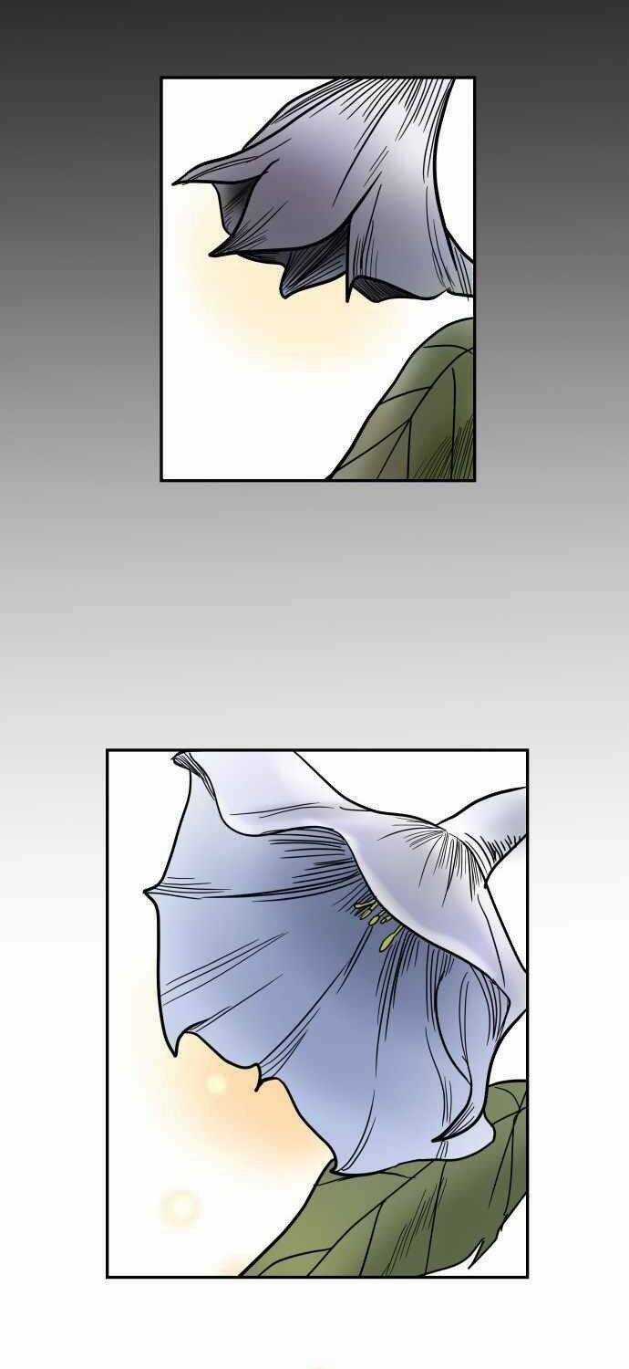 Ngọn Lửa Xanh - Chapter 53 - Trang 71