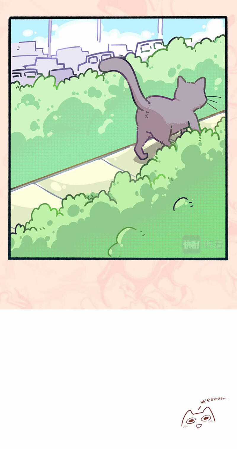 Ngũ Miêu - Chapter 0 - Trang 3