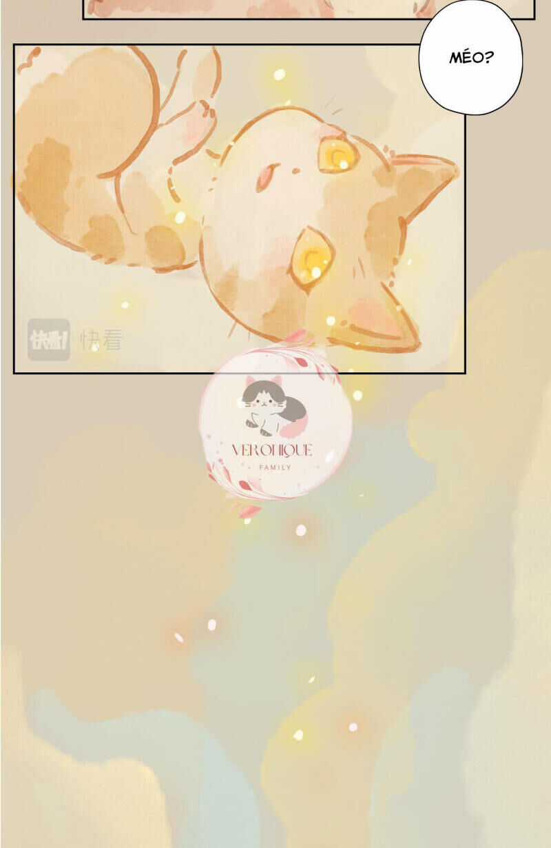 Ngũ Miêu - Chapter 1 - Trang 7