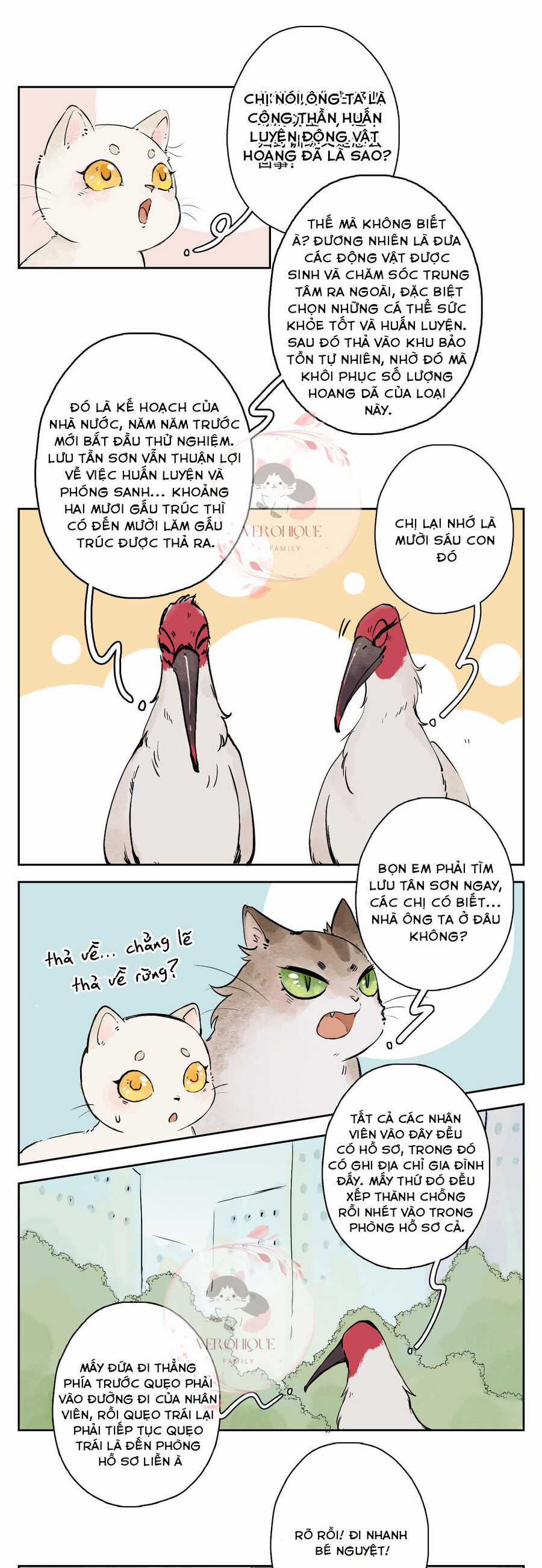 Ngũ Miêu - Chapter 25 - Trang 16