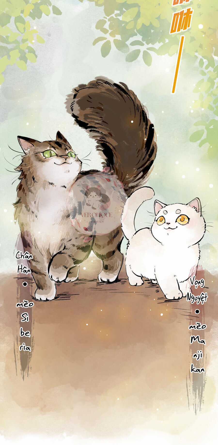 Ngũ Miêu - Chapter 25 - Trang 3