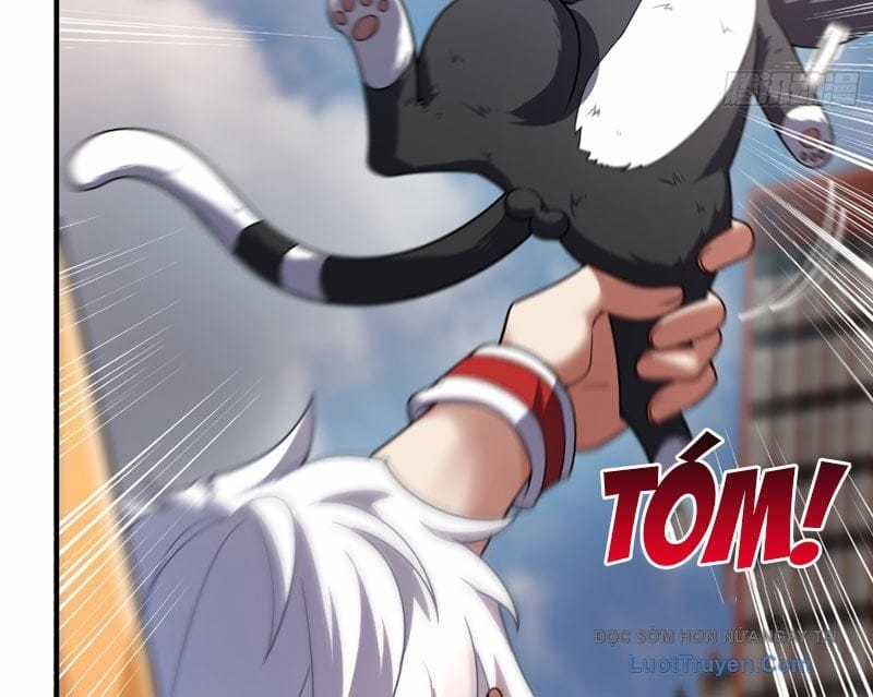 Ngự Thú Tiến Hóa - Chapter 4 - Trang 20