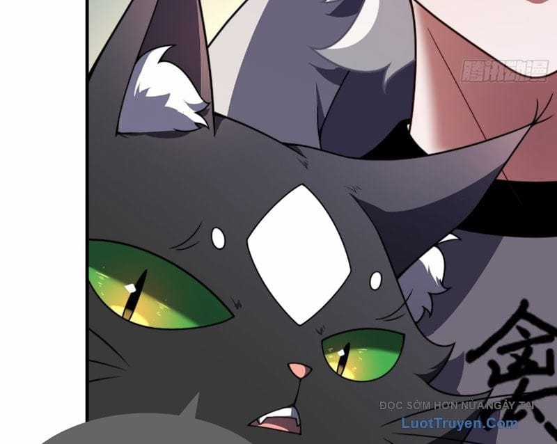 Ngự Thú Tiến Hóa - Chapter 4 - Trang 37