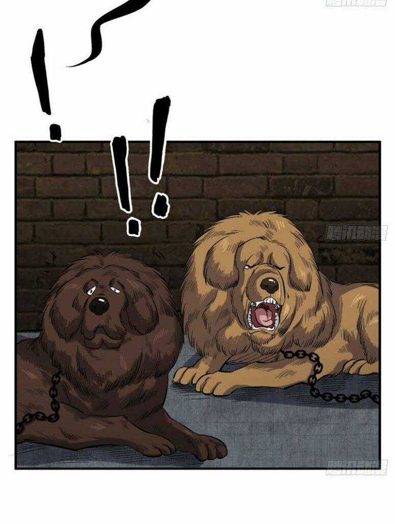 Ngược Về Thời Đường - Chapter 79 - Trang 5